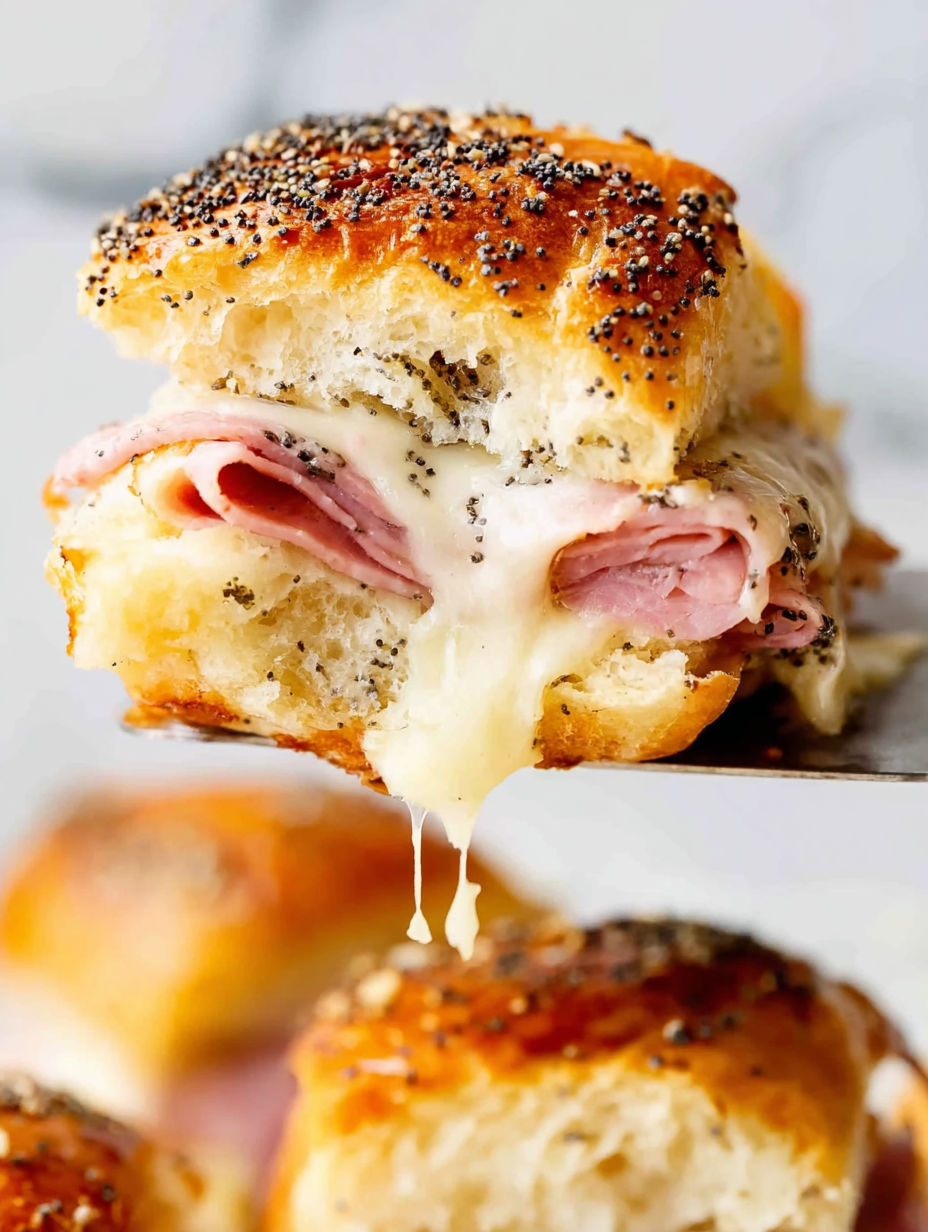 A close up of a ham and cheese sandwich.